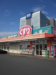 Dorakkusutoa. Drag Segami Morooka shop 715m until (drugstore)