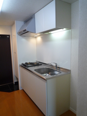 Kitchen. System kitchen