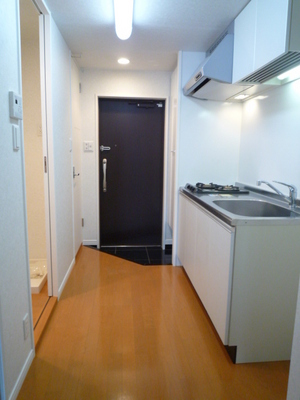 Entrance. Entrance hall