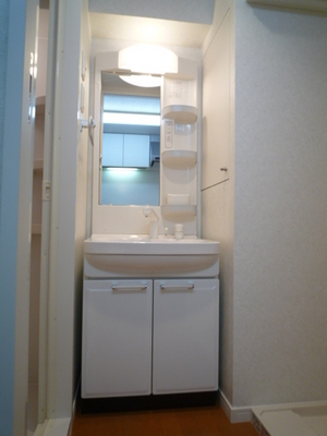 Washroom. Wash basin