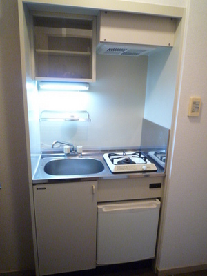 Kitchen. Mini-kitchen with refrigerator