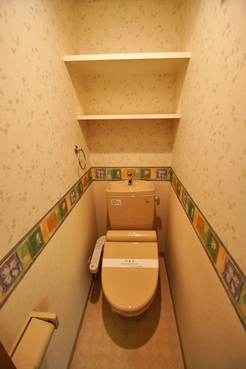 Toilet. Bidet function with WC