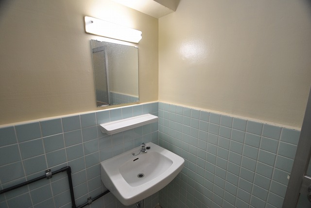 Washroom. There washbasin!