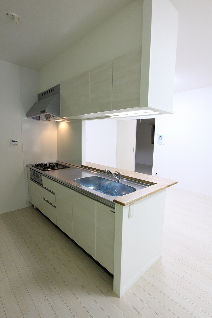 Kitchen. Initial cost split and credit settlement possible consultation.