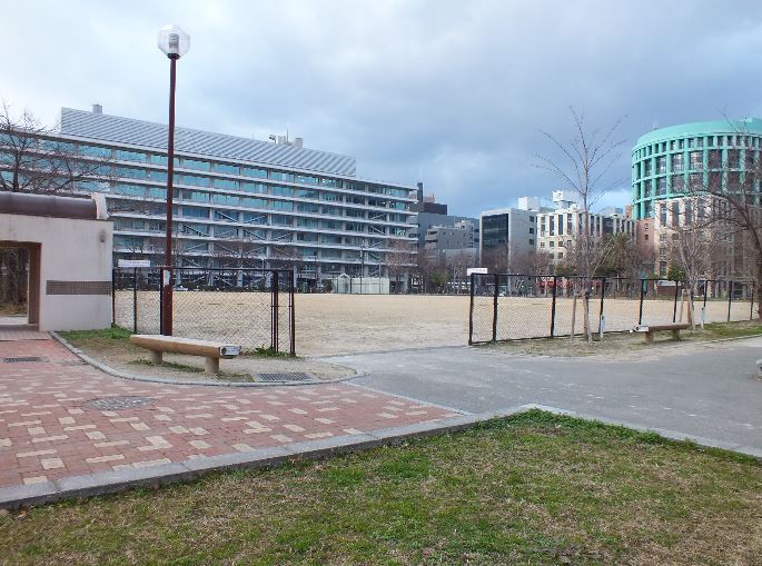 park. 494m to medium barnyard park (park)