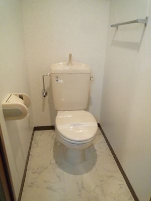 Toilet. Toilet