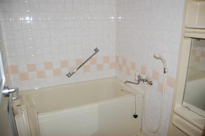 Bath. ※ Separate reference photograph ※