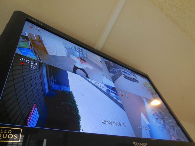 Other. surveillance camera