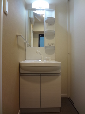 Washroom. Wash basin