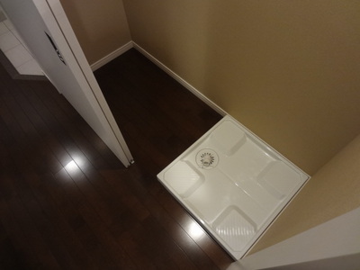 Washroom. Indoor Laundry Storage