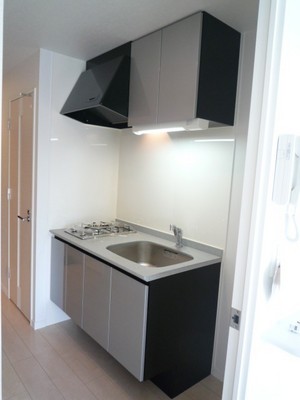 Kitchen. System kitchen