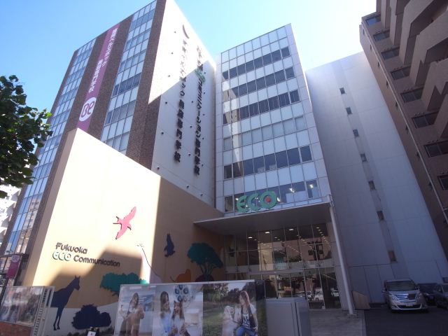 Supermarket. 240m to Fukuoka ECO Communication College (super)