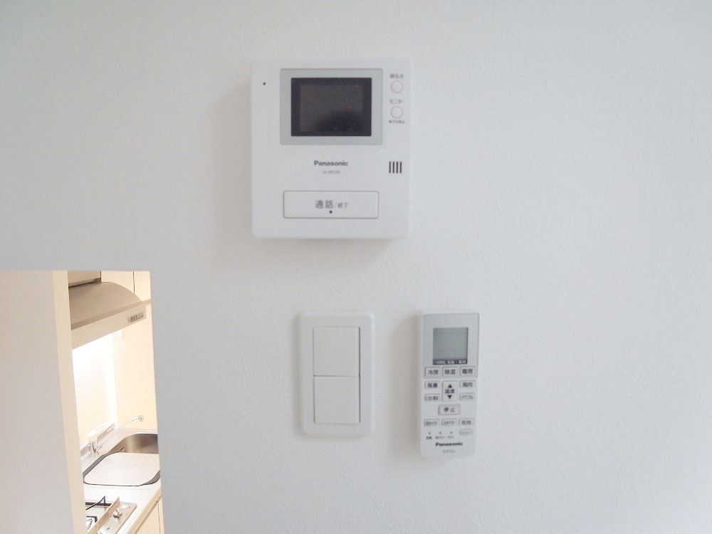 Security. TV monitor phone