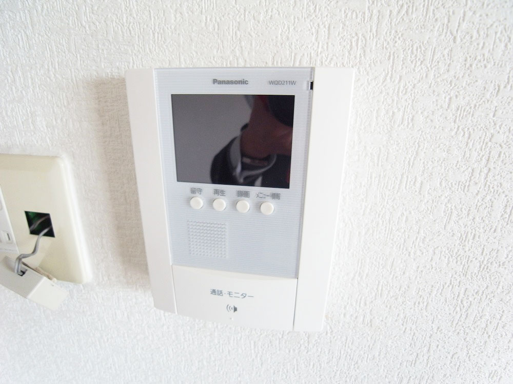 Security. TV monitor phone