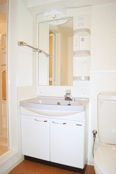 Washroom. Wash basin