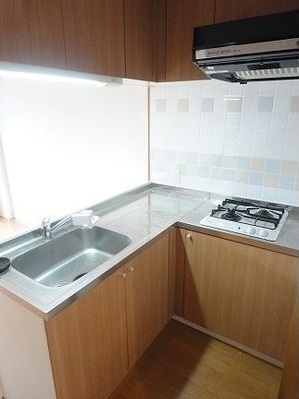 Kitchen. Gas stove 2-neck