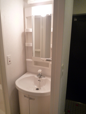 Washroom. Wash basin