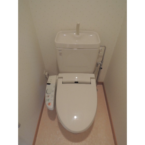 Toilet. Toilet
