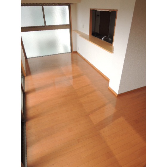 Living and room. Living