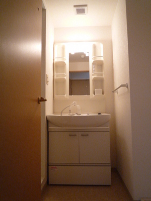 Washroom. Wash basin