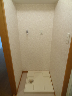 Washroom. Washing machine in the room