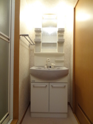 Washroom. Wash basin