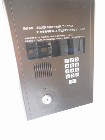 Other. Auto-lock of peace of mind