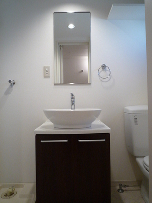 Washroom. Wash basin