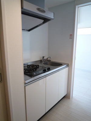 Kitchen. System kitchen