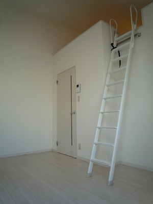 Living and room. Interior