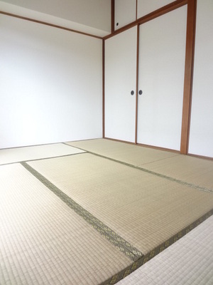 Living and room. Japanese style room