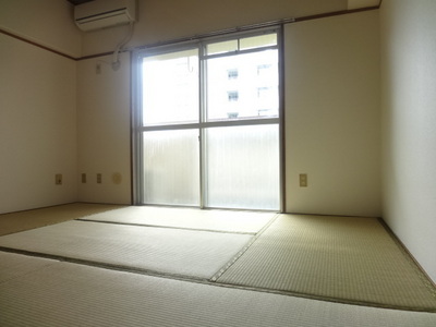 Living and room. Interior