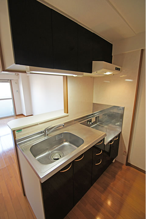 Kitchen. Counter kitchen (gas stove bring-your-own)