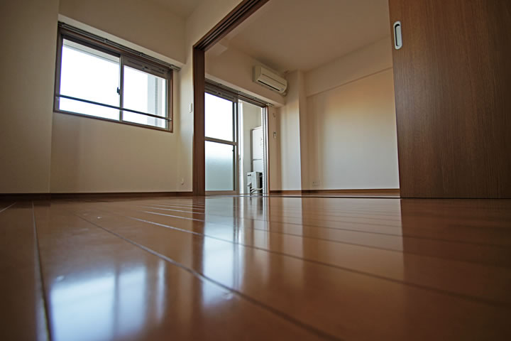 Other room space. Western style room