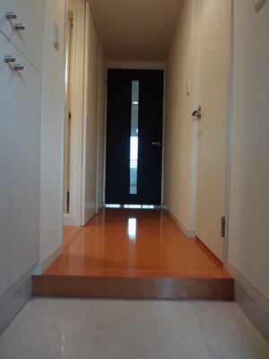 Entrance. Entrance hall