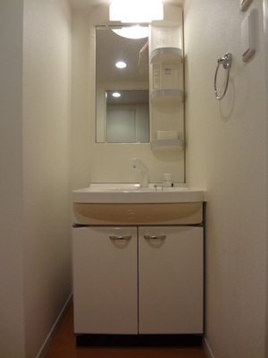 Washroom. Shampoo Dresser