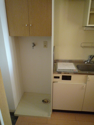 Other Equipment. Washing machine in the room