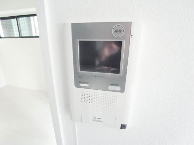 Security. TV monitor phone