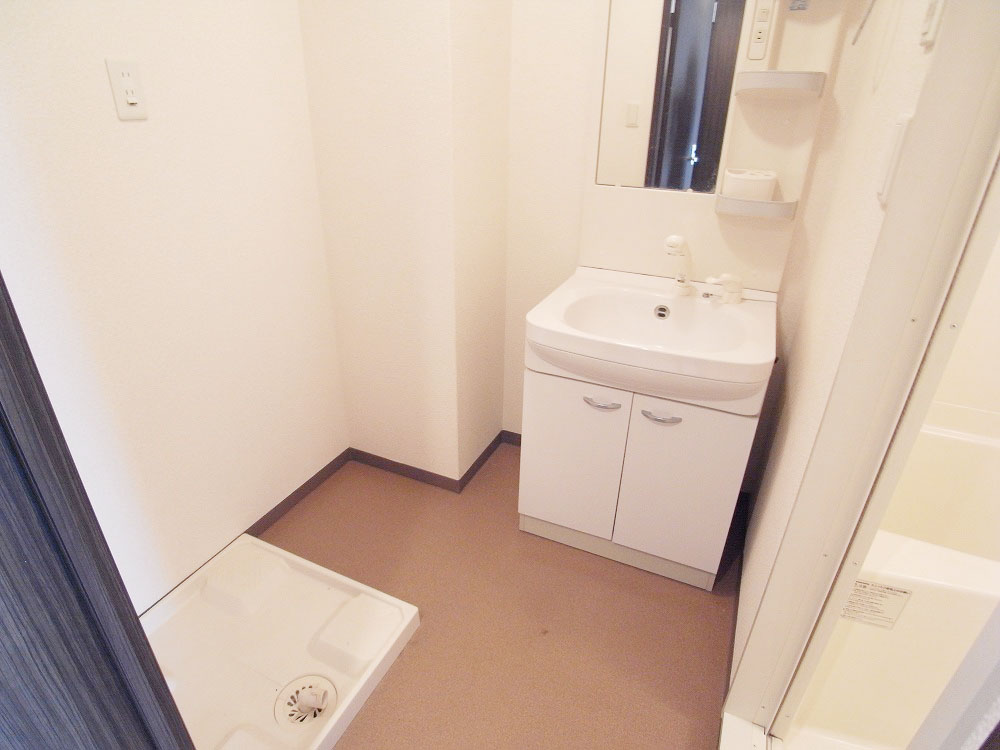 Washroom. With shampoo dresser