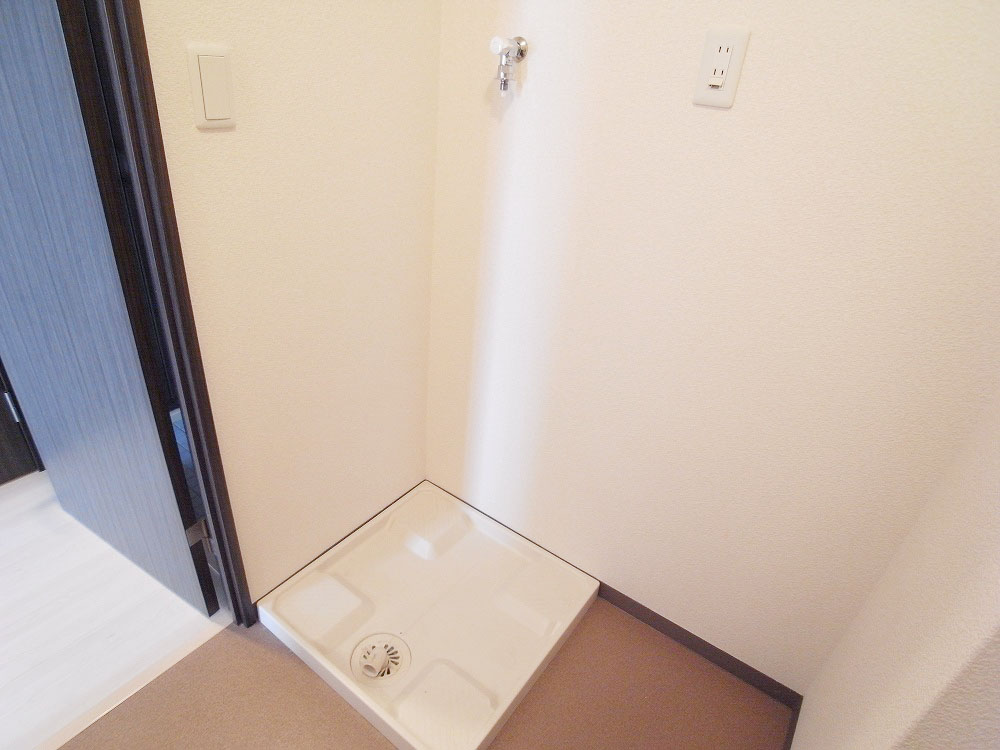 Other Equipment. Washing machine in the room