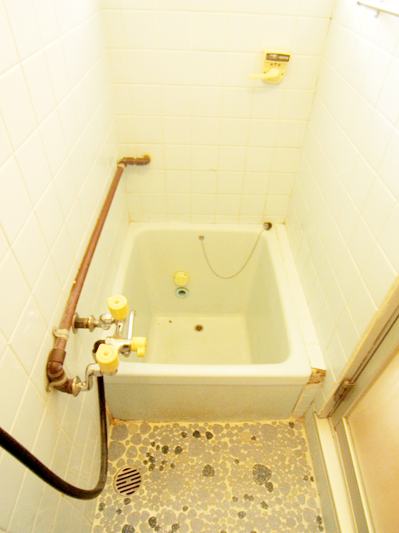 Bath. Bus toilet is separate!