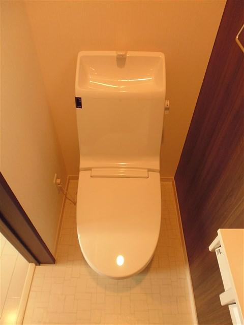 Toilet. Bidet function toilet