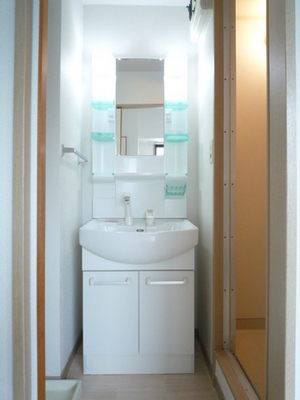 Washroom. Wash basin