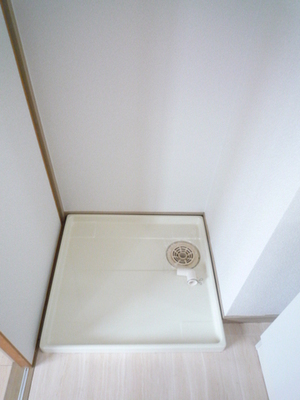 Washroom. Washing machine in the room