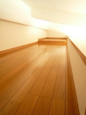 Living and room. loft