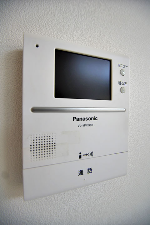 Security. TV monitor phone