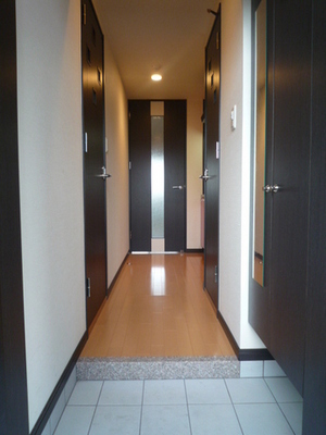 Entrance. Entrance hall