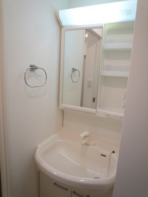 Washroom. Wash basin