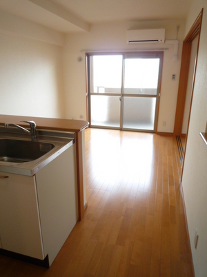 Living and room. Living