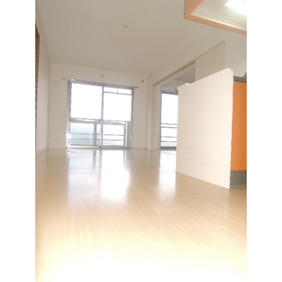 Living and room. room